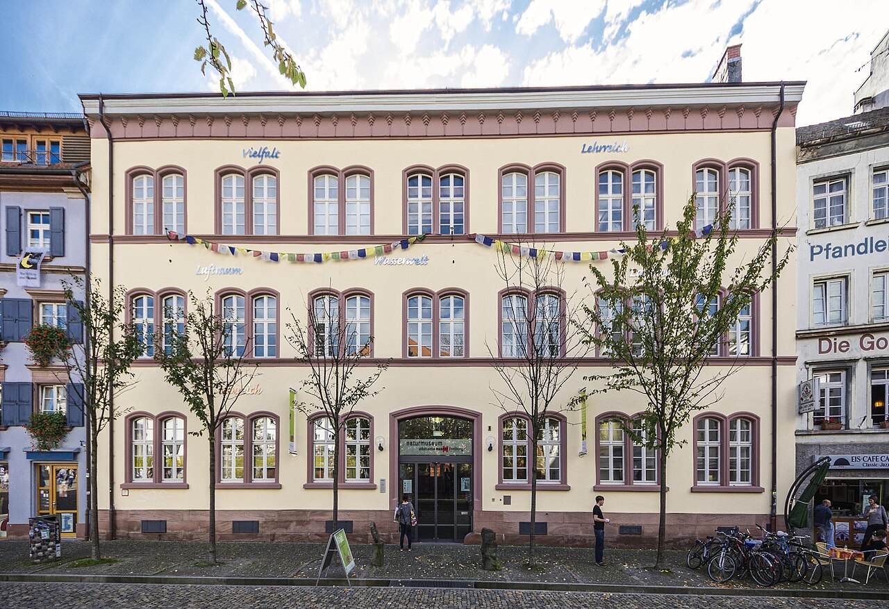Ein breites, symmetrisches Gebäude mit blassrosa Fassade und dunkleren, waagerechten Bändern. In zwei Reihen sitzen Rundbogenfenster, jeweils zu Paaren gruppiert. In der Mitte liegt ein Rundbogenportal mit Glastür. Oben schließt ein Gesims mit flachem Dach ab. Davor stehen Bäume, am Rand höhere Nachbarhäuser.