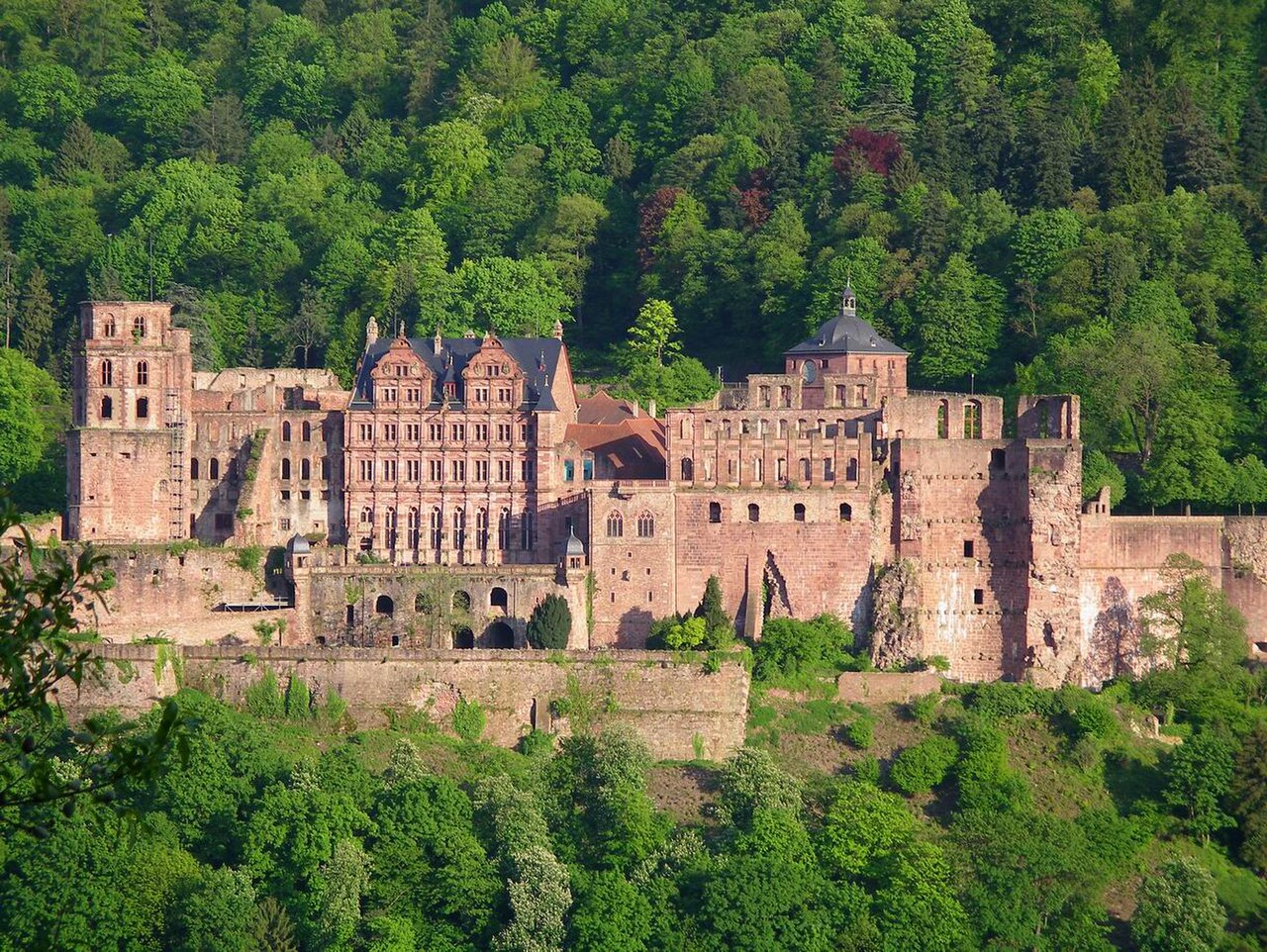 Eine ausgedehnte Schlossruine aus rotem Sandstein liegt hoch an einem steilen, dicht bewaldeten Hang. Links steht ein hoher, viereckiger Turm. In der Mitte erhebt sich ein reich gegliederter Bau mit Giebeln und leeren Fensterreihen. Rechts folgen ein Turm mit grauer Haube und ein massiger, aufgerissener Turmstumpf. Terrassenmauern stützen den Hang.