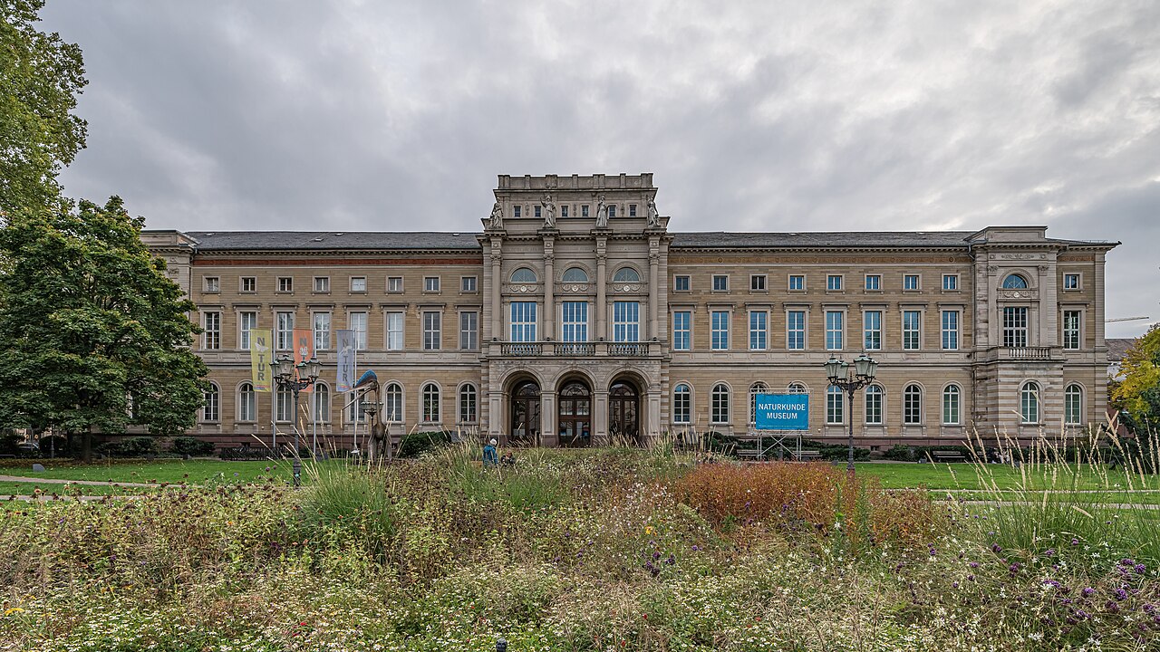 Ein sehr breiter, dreigeschossiger Bau aus hellbraunem Sandstein mit gleichmäßigen Fensterreihen, unten mit Rundbögen. In der Mitte springt ein höherer Mittelbau vor, im Erdgeschoss mit drei Rundbogenöffnungen. An den Enden stehen höhere Eckbauten. Das Dach ist flach geneigt und dunkel. Davor liegt eine Wiese mit hohen Stauden, links stehen Laubbäume.